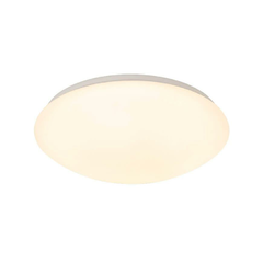 Потолочный светодиодный светильник SLV Lipsy 1002021